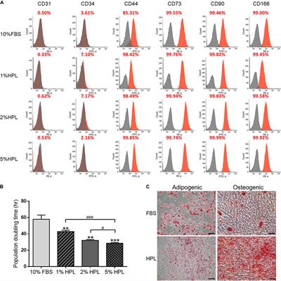 Influence of Human Platelet Lysate on Extracellular Matrix Deposition and Cellular Characteristics in Adipose-Derived Stem Cell Sheets